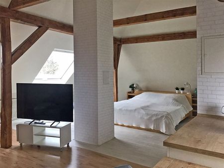 Immobilien-Richter: Möblierte Loft-Messe-Wohnung nähe Hannover - Foto 5