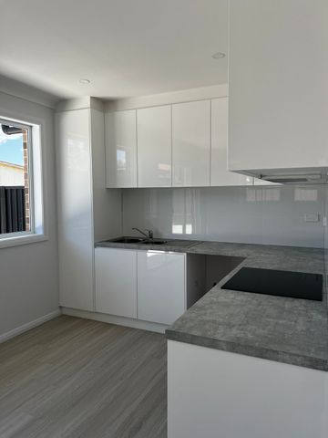 BRAND NEW GRANNY FLAT - Photo 3