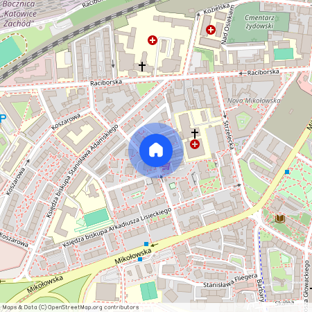 ul. ks. kard. Bolesława Kominka, Śródmieście, Katowice, śląskie