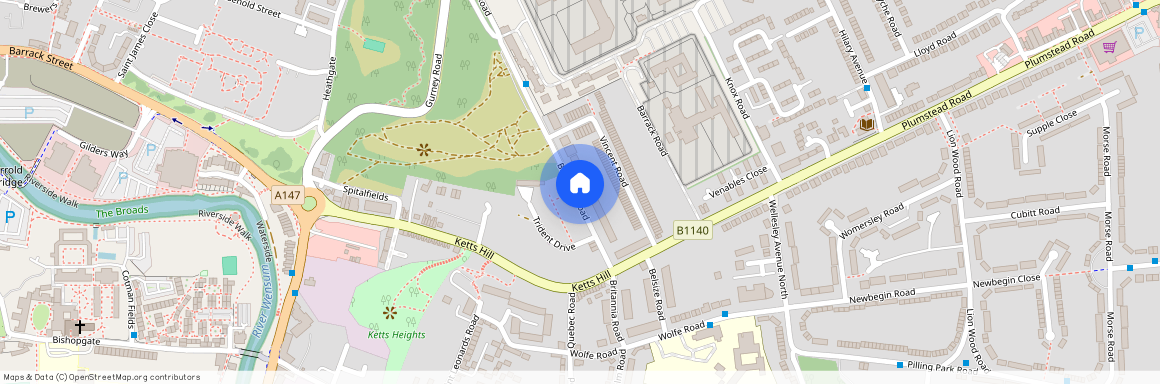 Britannia Road, Norwich, NR1 4HP