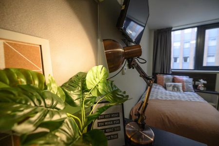 1 bedroom apartment to rent - Photo 5