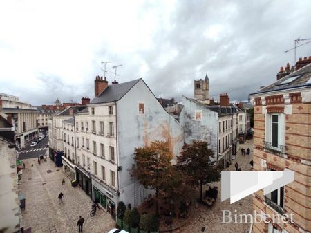 Appartement à louer, 1 pièce - Orléans 45000 - Photo 4