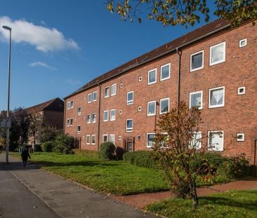 2-Zimmer-Wohnung in Kiel AB SOFORT - Photo 4