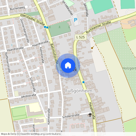 67136 Rheinland-Pfalz - Fußgönheim