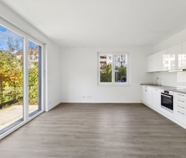 Wohnen im Grünen: Erdgeschoss-Neubauwohnung in ruhiger Lage - Foto 3