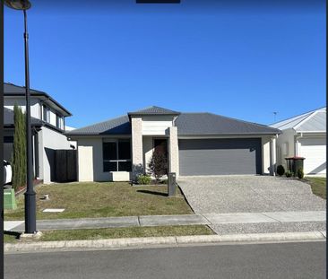 49 Daydream Street, Burpengary East, Qld 4505 - Photo 6