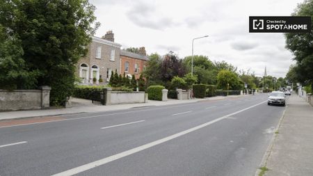 Cute studio apartment for rent in Rathgar, Dublin - Photo 5