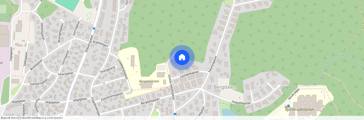 Borås, Gustav Adolfsgatan, 86 A, 50457