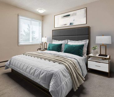 Renovated Suite - 2 Bedroom - Photo 6