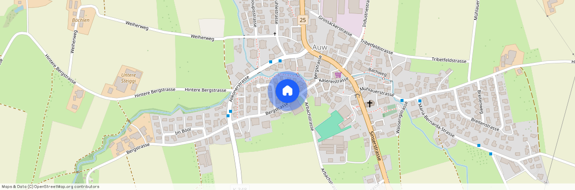 5644, Auw, Bergstrasse, 8