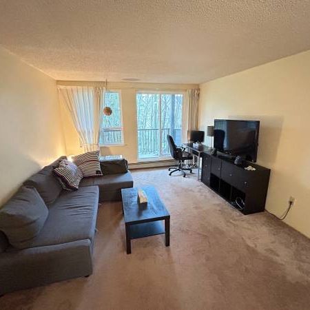 Furnished Large 1 bedroom Condo for rent! Utilities included! - Photo 4