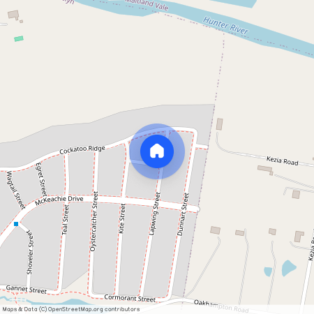 8 Lapwing Street, Aberglasslyn NSW 2320