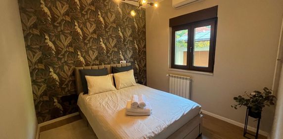 Kiseleff-parc, 3 camere, D/D+P+1+M - Photo 2