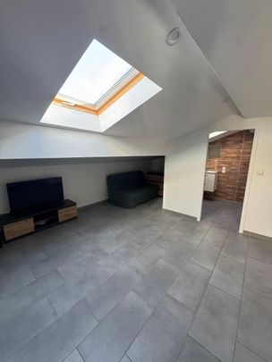 Location Appartement 1 pièce 36m² BEDARIEUX 34600 - Photo 1