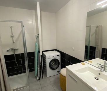 Location Appartement 1 pièce 44m² - Photo 4