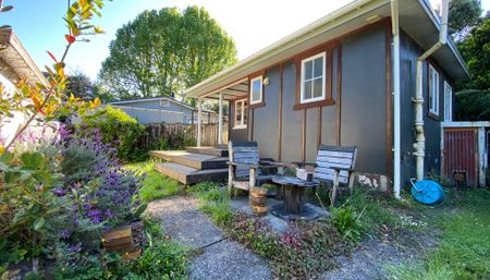 KIWIANA BLISS - Photo 3