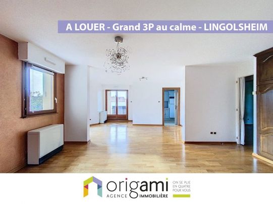 Nouveaté à Louer - Grand F3 - LINGOLSHEIM - Photo 1