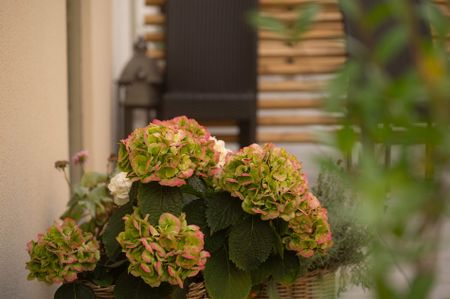 Exercisgatan 6 C, Hässleholm - Photo 3