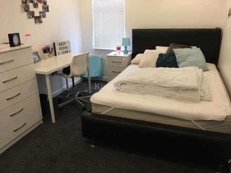 Cathays Terrace, Cathays, CF24 - Photo 4