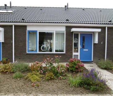 Maison en rangée pour seniors Kruisstraat 49, Ens - À louer - Photo 1