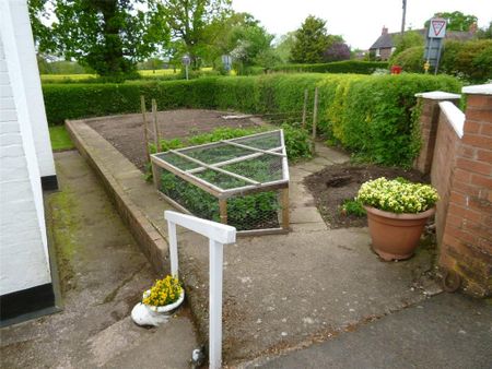 2 bedroom bungalow to rent - Photo 4