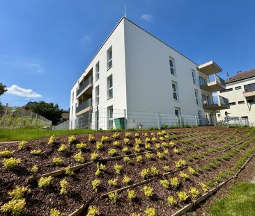 TOP 311 - Gallspach: Wohnen am Wasserschloss - Foto 1