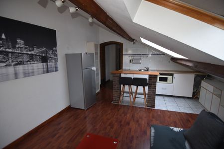 Location Appartement 2 pièces 26m² GRENOBLE 38000 - Photo 3