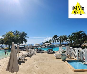 Location Appartement 2 pièces 33m² ST FRANCOIS 97118 - Photo 1