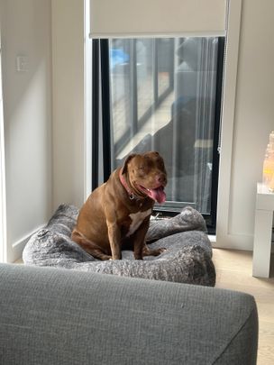 Keilor Park - Photo 1