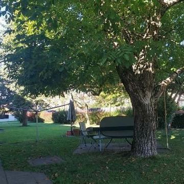 Wohnung - Miete in 8010 Graz - Photo 1