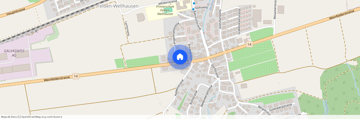 Langenmattstrasse 14, 8552 Felben-Wellhausen