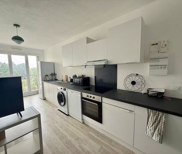 Location Appartement 1 pièce 79m² RENNES 35200 - Photo 5