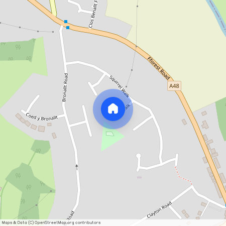 Squirrel Walk, Pontarddulais SA4