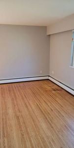 Large Bright Renovated 1 bedroom - Photo 3