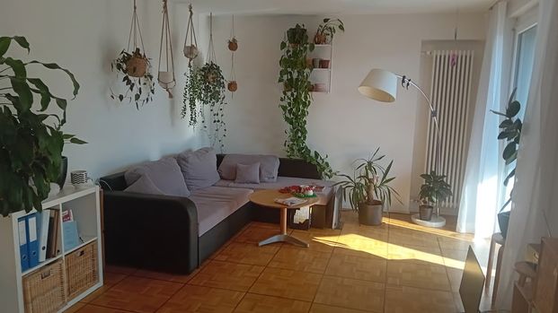 1 Zimmer, 70 m², 2. Stock - Foto 1