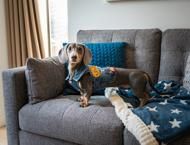 Flat 25 :: The Quarters - Photo 1