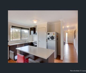 Peaceful Court Location - Photo 6