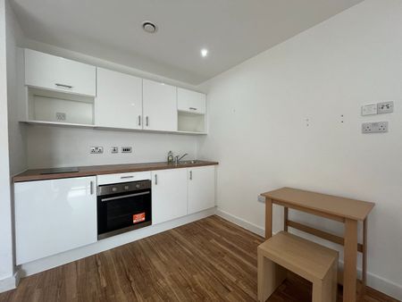 Studio Flat, Michigan Avenue, M50 - Photo 4