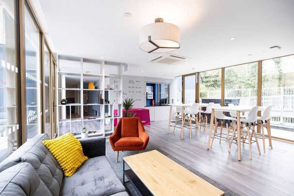 Studio to rent - Photo 1