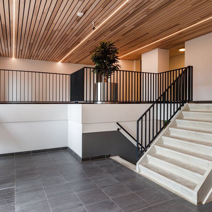 Zijdebalen: uniek wonen langs de Vecht - Photo 1