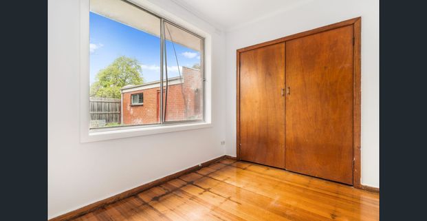 Low Maintenance Gardens - Photo 1