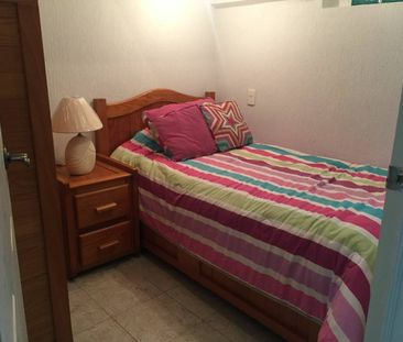 Departamento en renta Coyoacan, CDMX - Photo 5