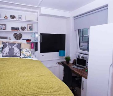 Bronze Studio - Photo 5