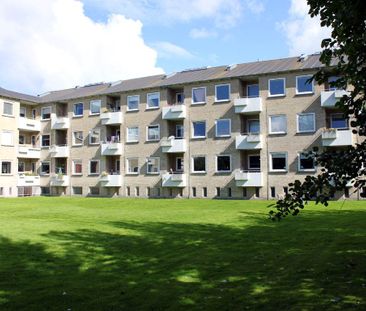 Riishøjsvej - Foto 6