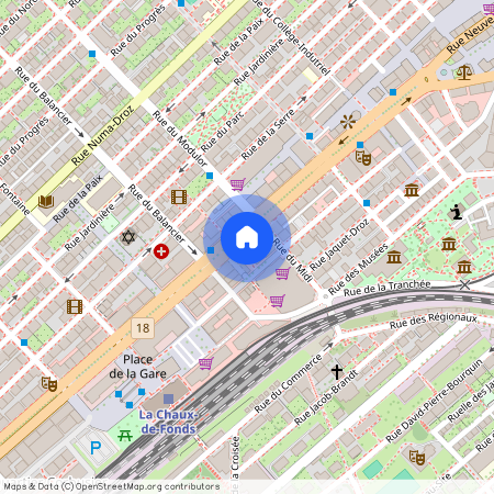 2300, La Chaux-de-Fonds, Avenue Léopold-Robert 51, 49