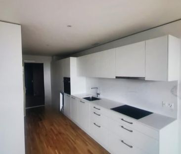 2.5 Zimmer, 49 m², 1. Stock - Photo 3