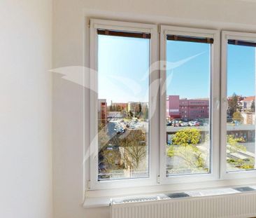 Pronájem bytu 1+kk 33 m2 - Fotografie 3