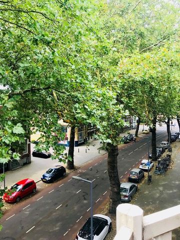 Te huur: Kamer Rodenrijselaan in Rotterdam - Foto 4