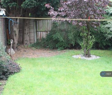 2 bedroom semi-detached house to rent - Photo 3
