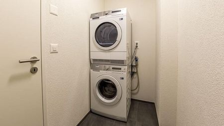 Moderne 3.5-Zimmerwohnung mit herrlichem Sitzplatz - Photo 3